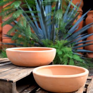 Collection Charola Viva