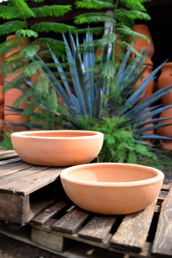 Collection Charola Viva