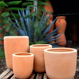 Collection Cilindro Raíz