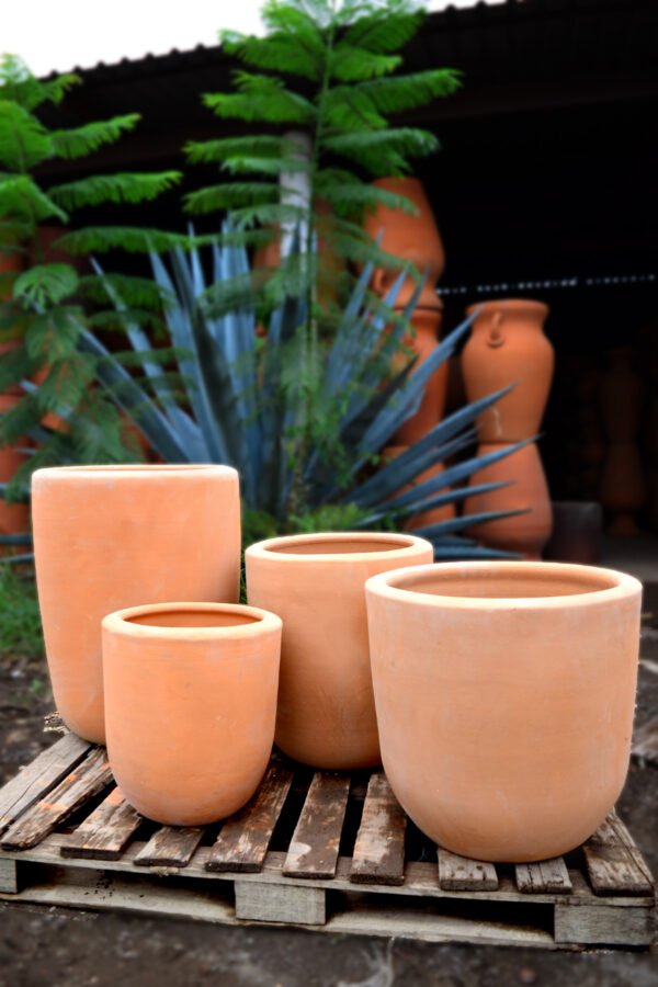 Collection Cilindro Raíz