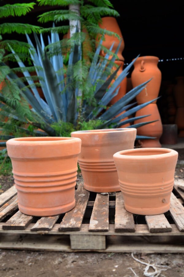 Collection Cinchos de Barro
