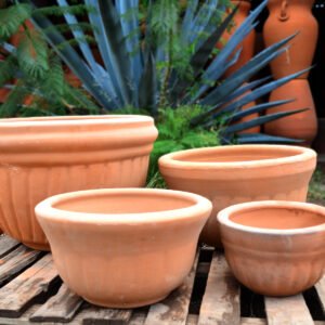 Collection Gelatina de Barro