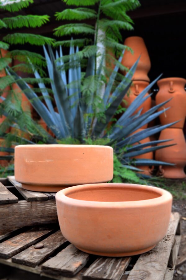 Collection Mejorale de Barro