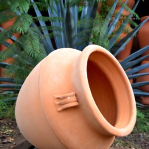 Collection Olla Viva
