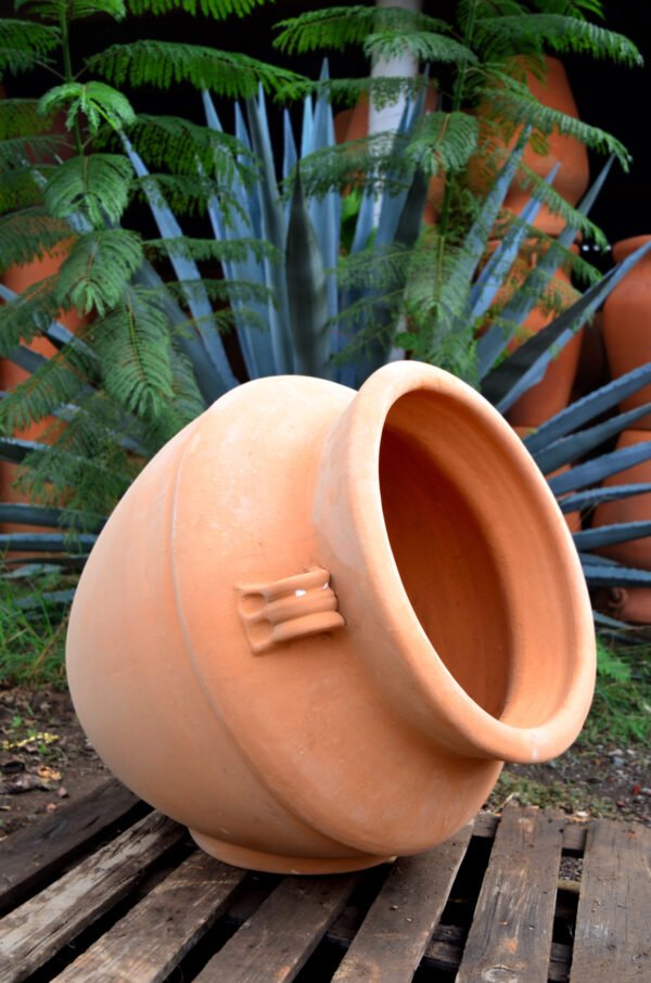 Collection Olla Viva