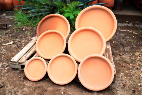 Collection Plato de Barro