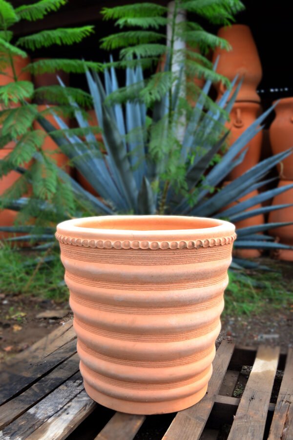 Collection Vaso de Barro - Image 2
